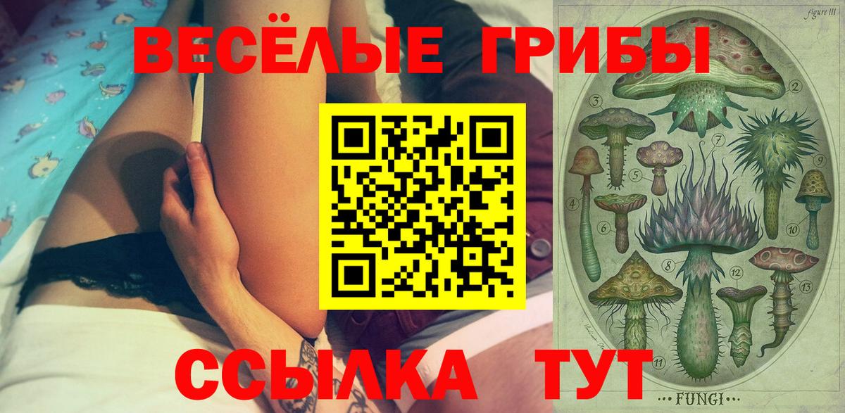 Красноармейск  Галлюциногенные грибы GOLDEN TEACHER  Вход с VPN 